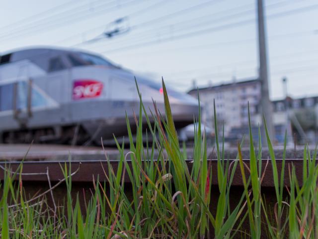 TGV SNCF