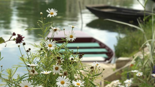 Barque du Marais Poitevin