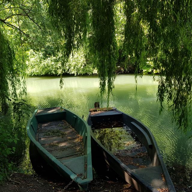 Rallye Marais Poitevin