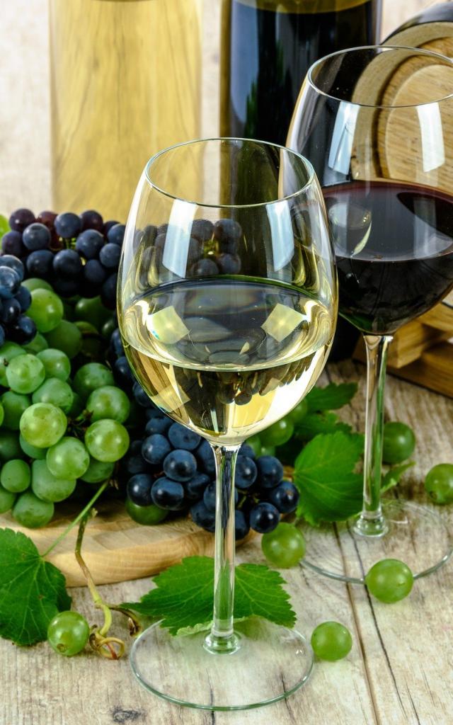 Team building cuisine et dégustation